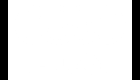 audi_w